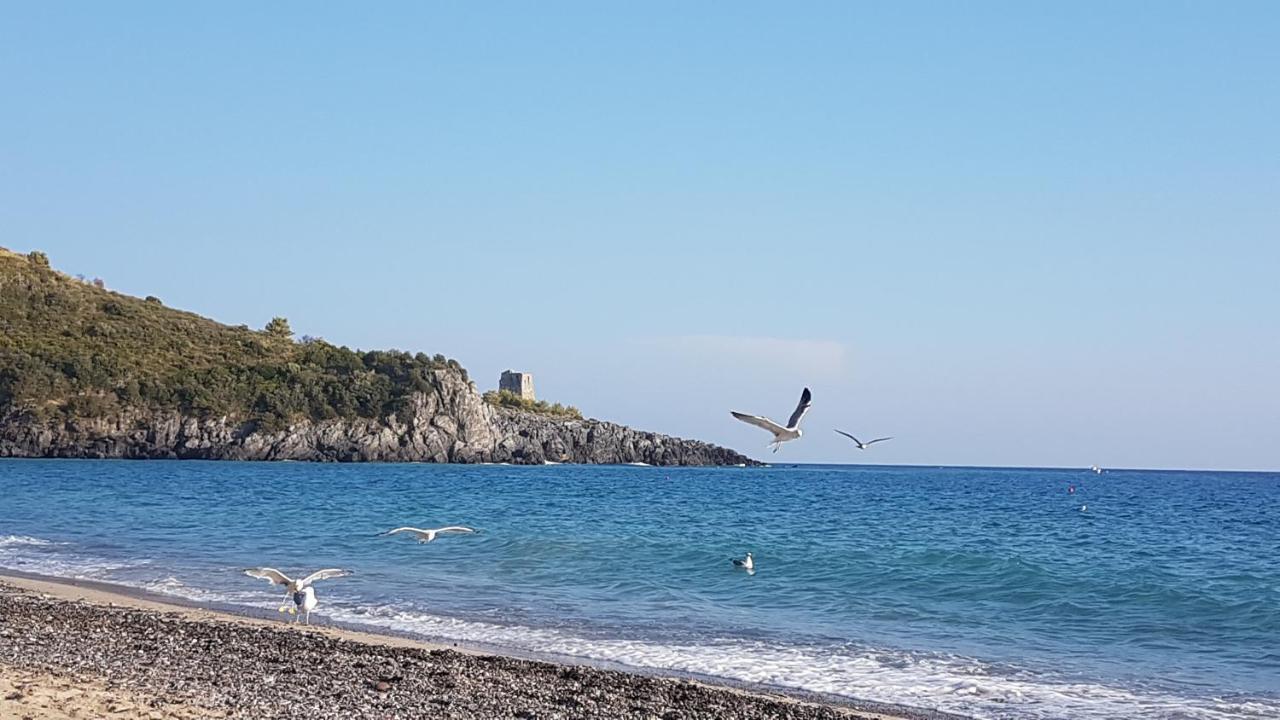 Residence San Antonio Marina di Camerota Luaran gambar